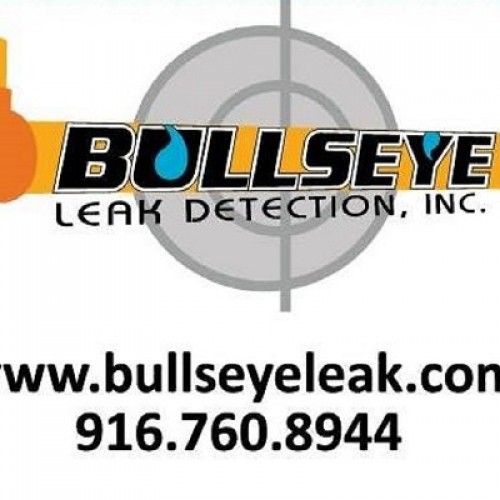 Bullseye Leak Detection, Inc.