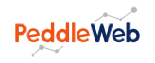 PeddleWeb - Digital Marketing Company