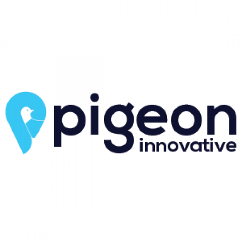 Pigeon Innovative Solutions - Drone Photography Company in India