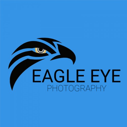 Eagle Eye Photography