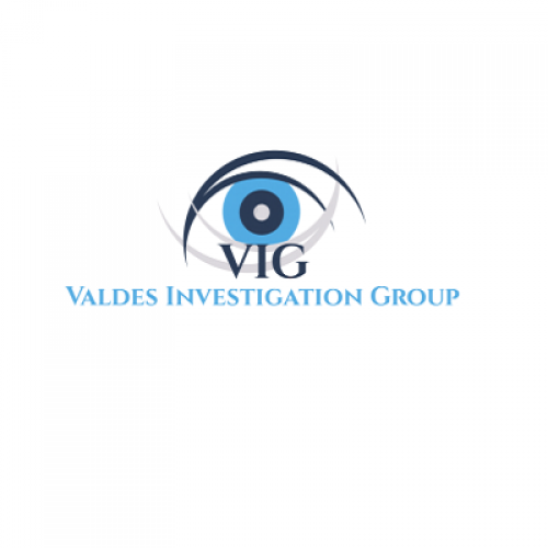 Valdes Investigation Group Miami Private Investigator