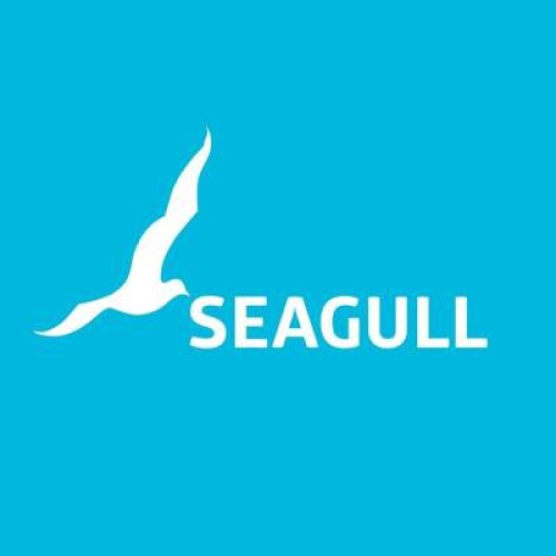 Seagull Advertising: Advertising, Branding and Digital Marketing Agency in Pune India