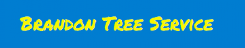 Tree service in Brandon FL
