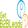 Get B2B Leads